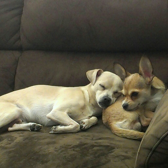 Meet your Posher, Pam - Picture 7 of 8